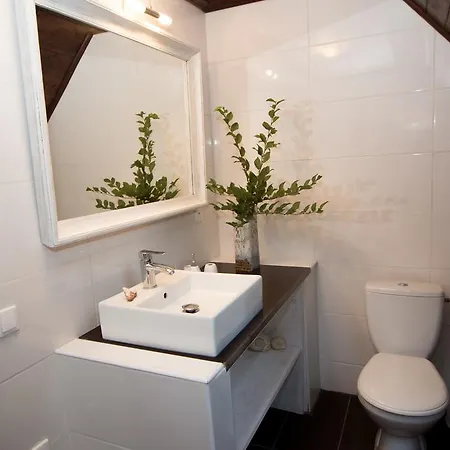 Dlouhy Dul 19 Tatil Evi